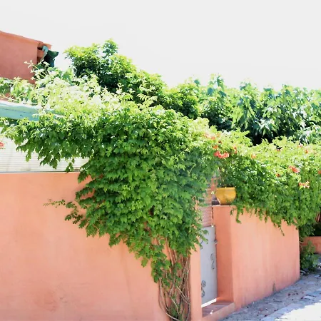 Mas De L'oli Apartament