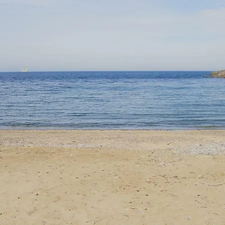 Mas De L'oli